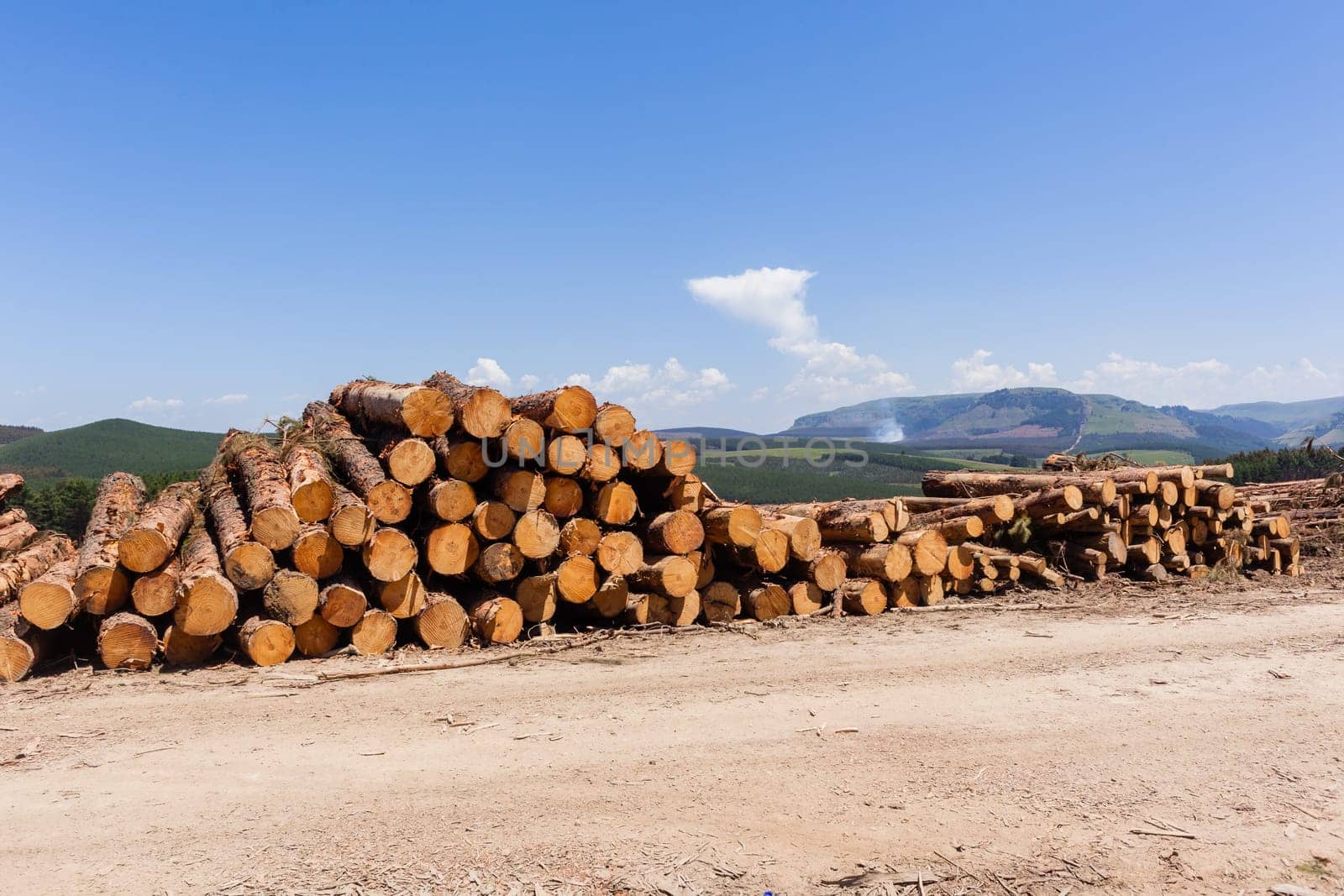 Forest trees cut stacked wood logs along dirt road rural mountains landscape.