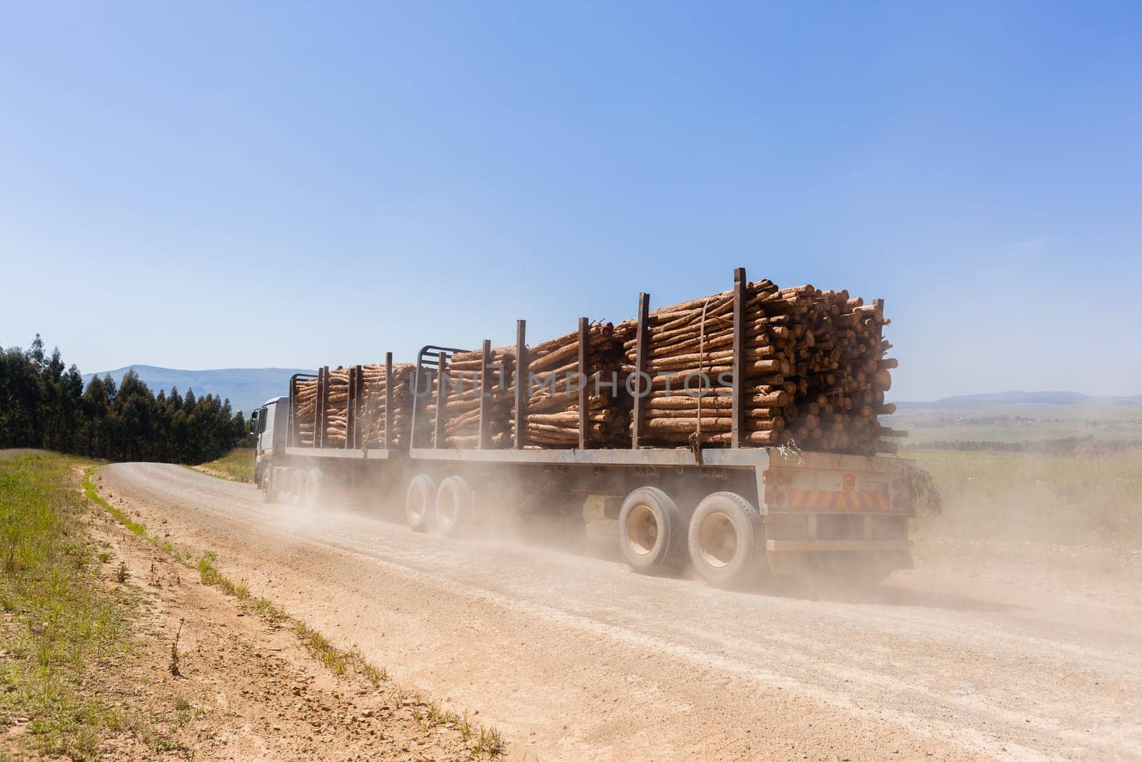 Forest trees cut stacked logs along dirt road rural mountains