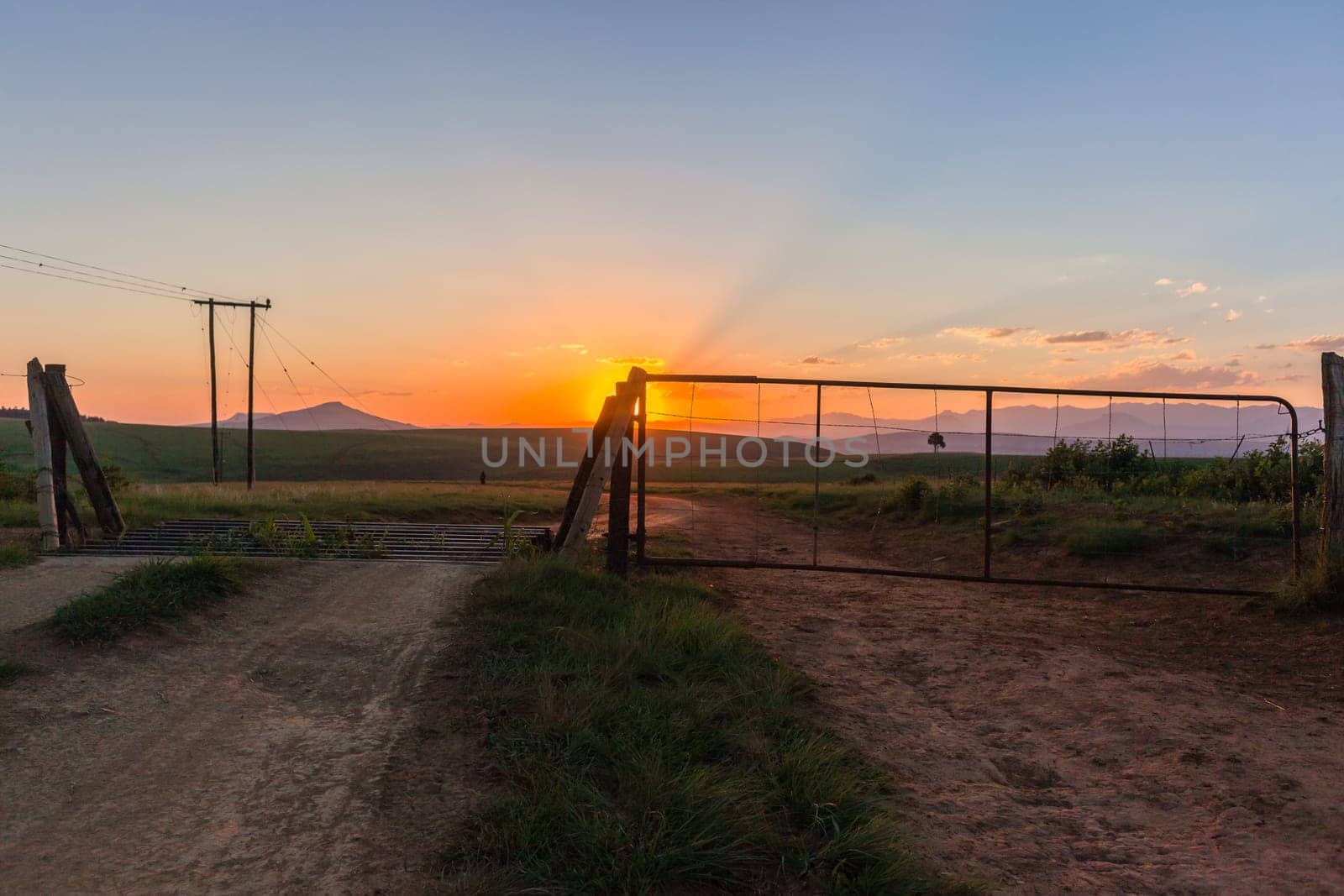 Farmlands gate animal crossing sunset summers day mountain landscape