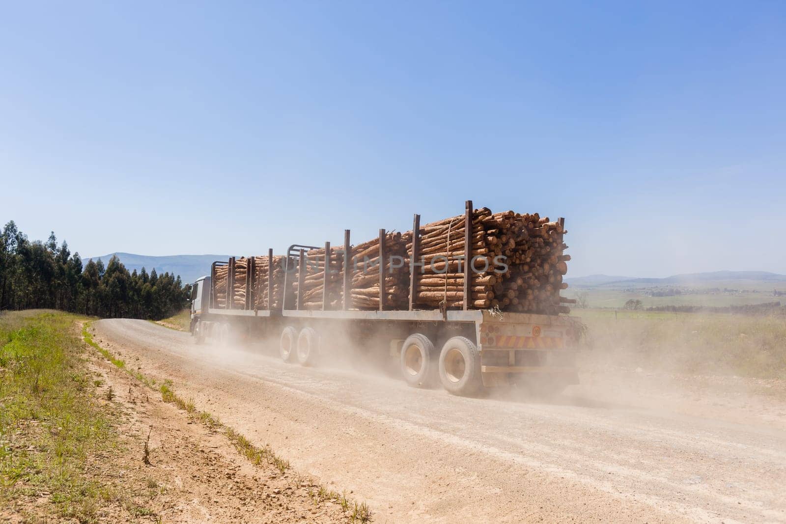 Forest trees cut stacked logs along dirt road rural mountains