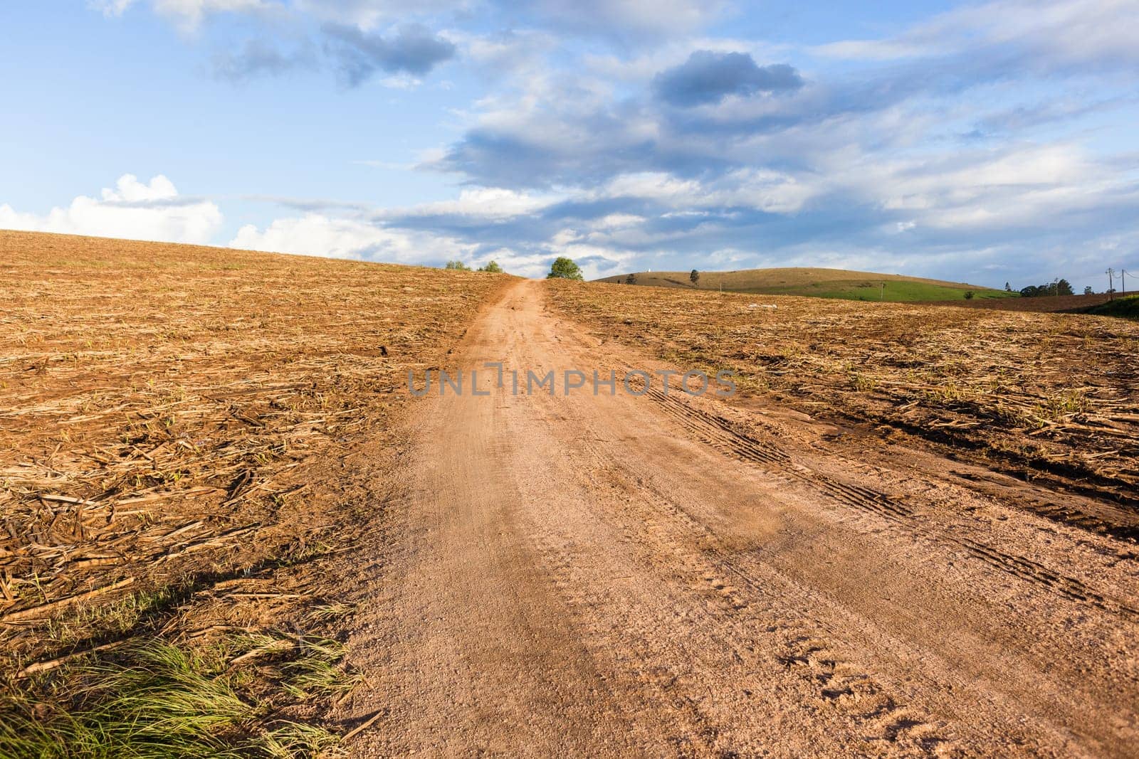 Agriculture field harvested crops dirt road over farming landscape