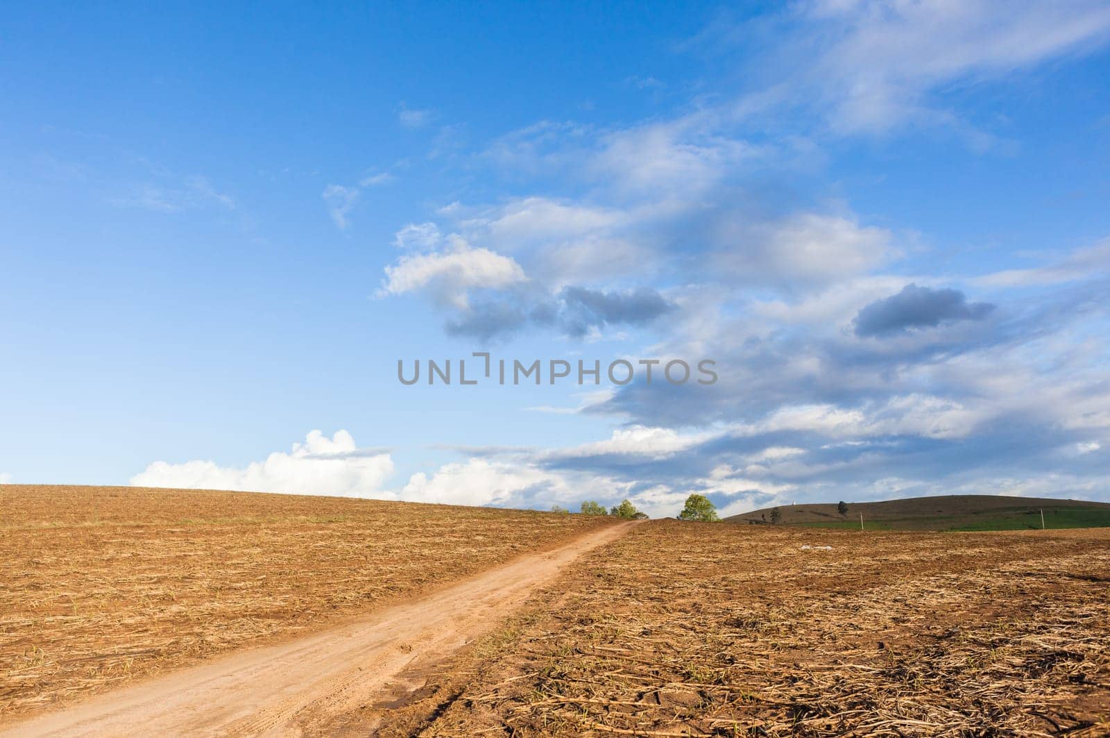 Agriculture field harvested crops dirt road over farming landscape