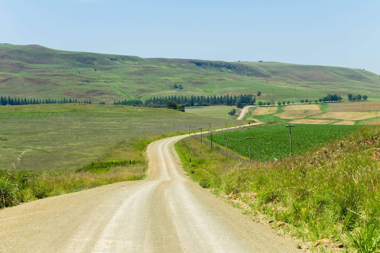 Dirt road route through farmlands fields crops hills scenic rural mountain summer terrain.