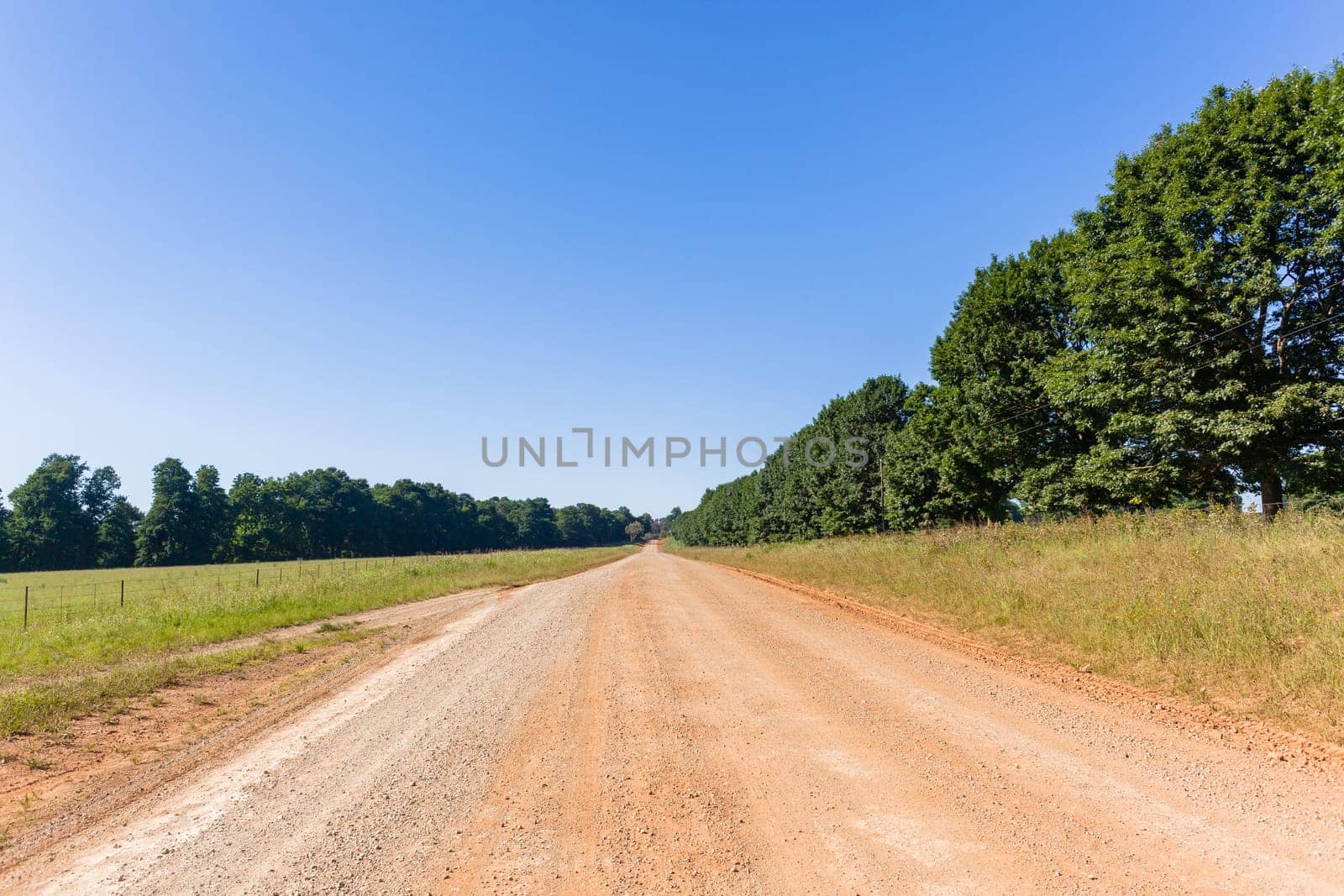 Dirt road route through trees scenic rural mountain terrain middle photo to horizon
