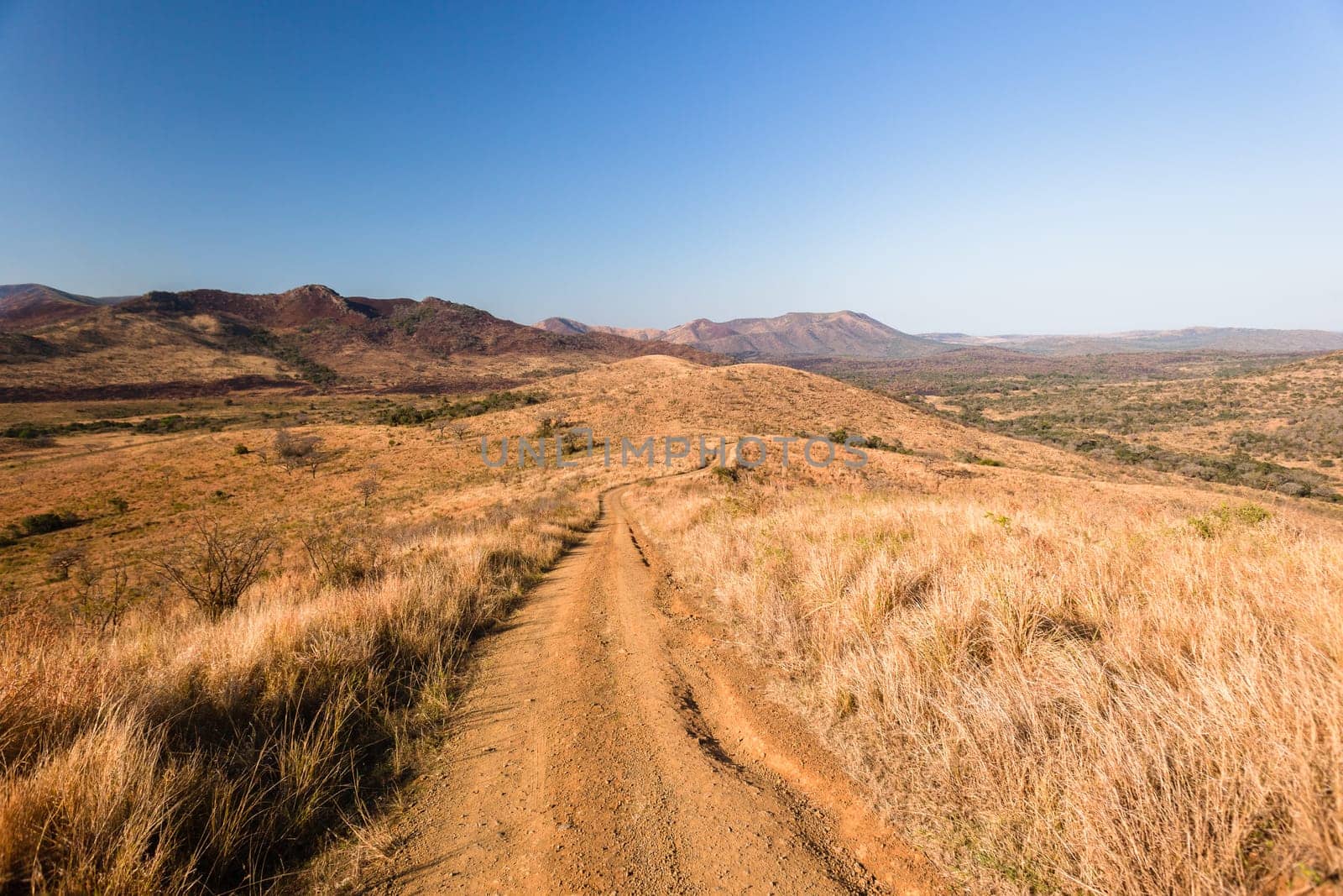 Dirt road up steep route in wilderness wildlife terrain hill climb landscape
