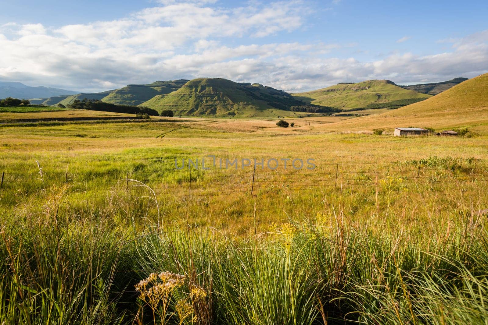 Mountains rural valley hills farming crops terrain scenic summer landscapes..