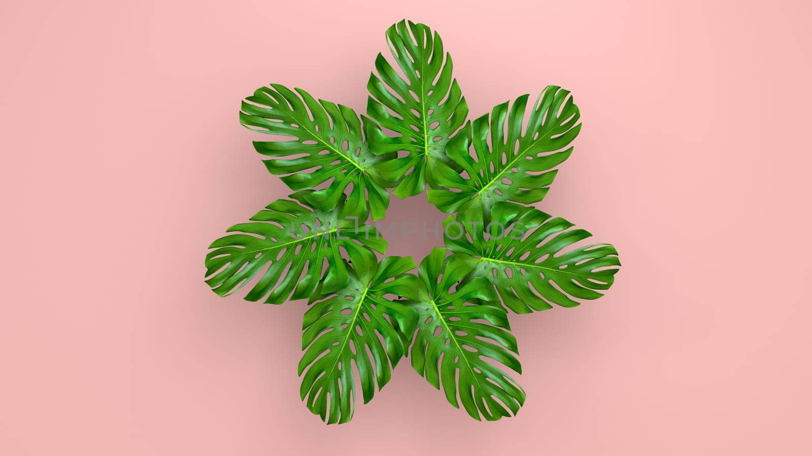 Realistic palm leaves on Coral Living background for cosmetic ad or fashion illustration. Tropical frame exotic banana palm. 3D render
