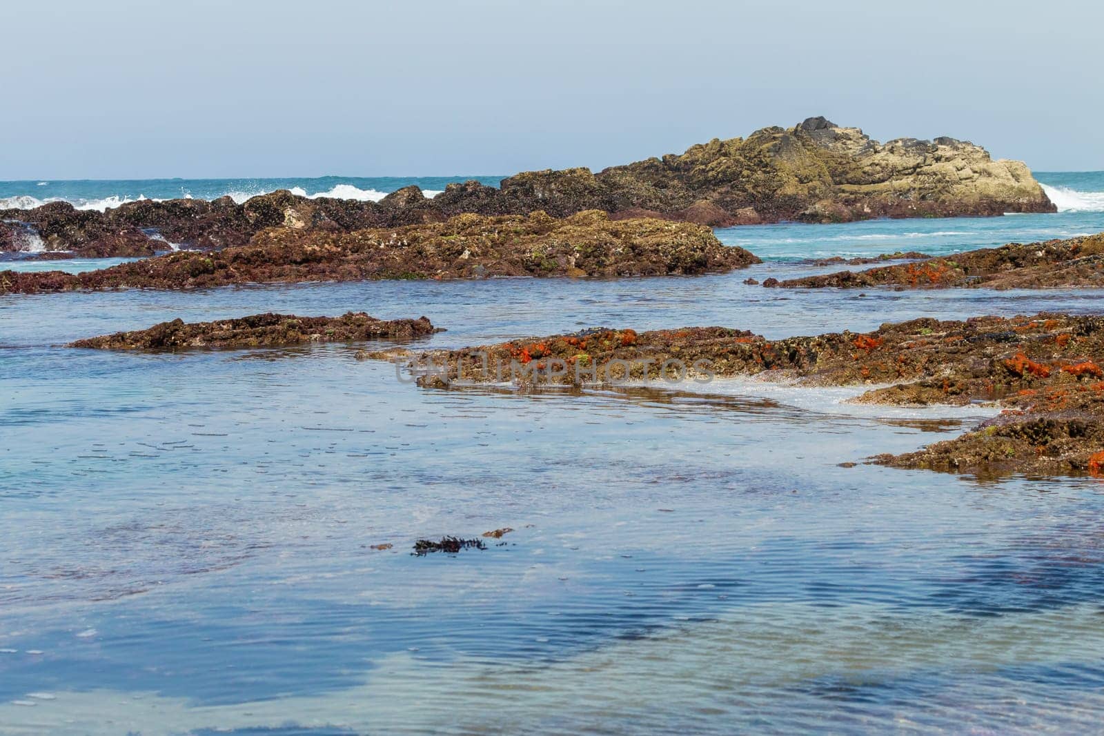 Beach Rocky ocean coastline tidal water pools closeup nature landscape..