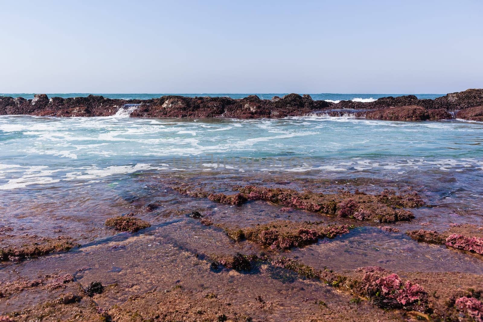 Beach Rocky ocean coastline tidal water pools closeup nature landscape..