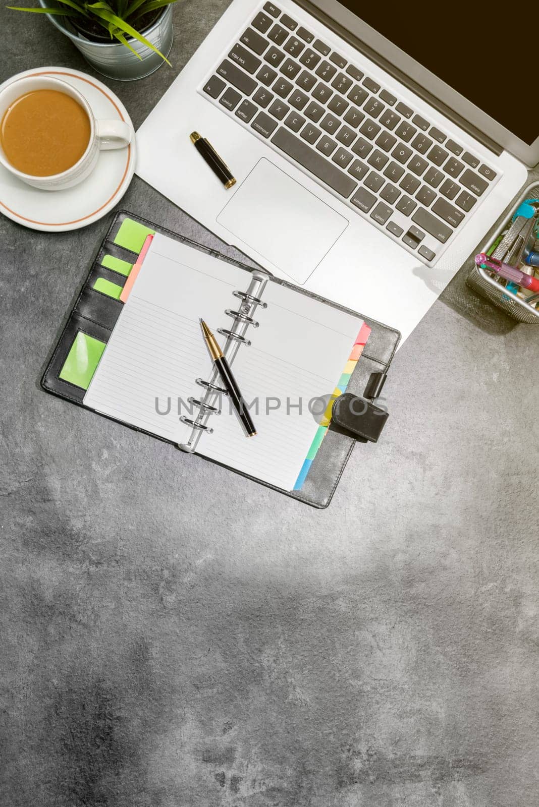 Top view of business desk with laptop, coffee, potted plant, notebook and business accessories on the office