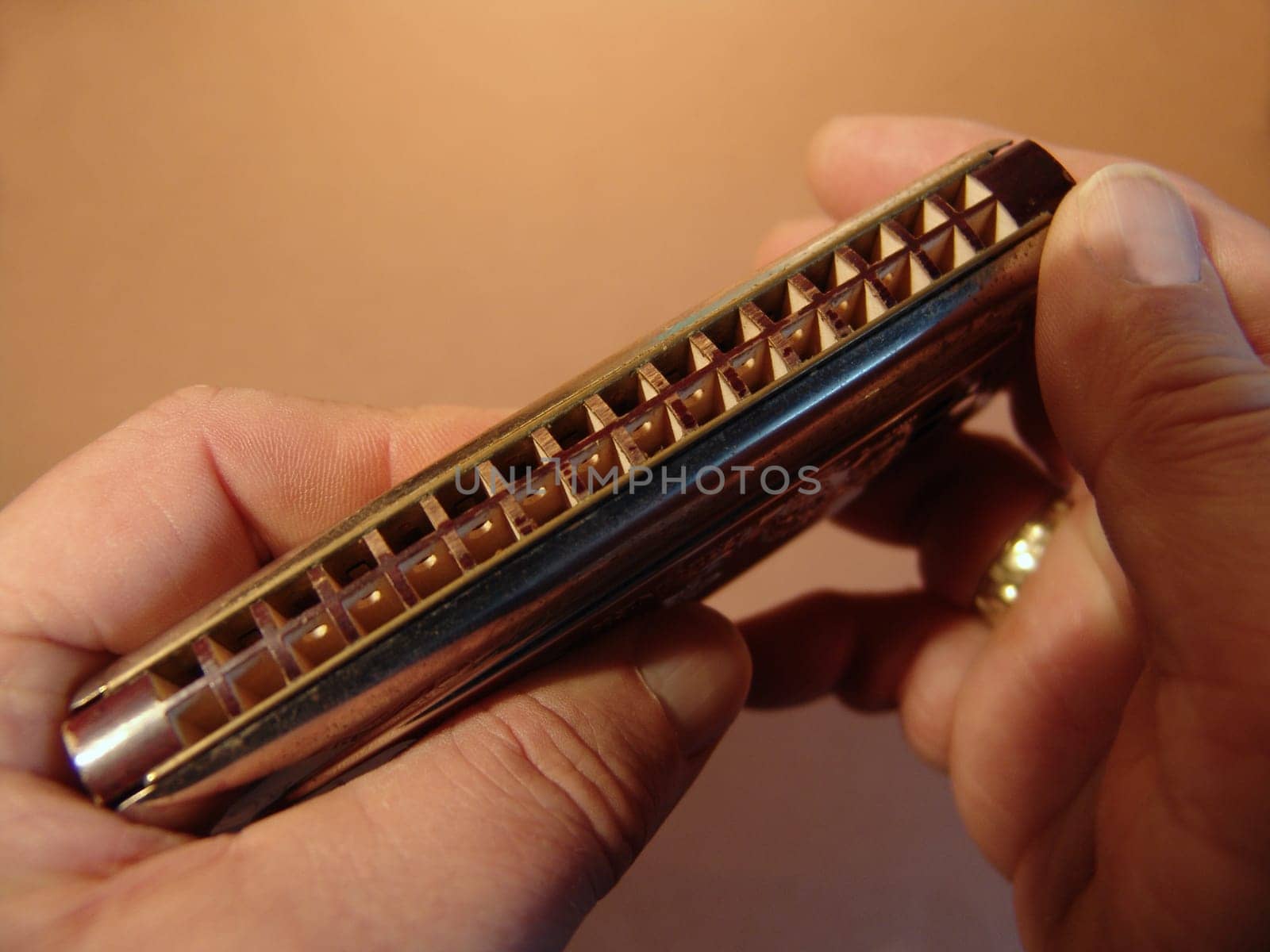 Harmonica