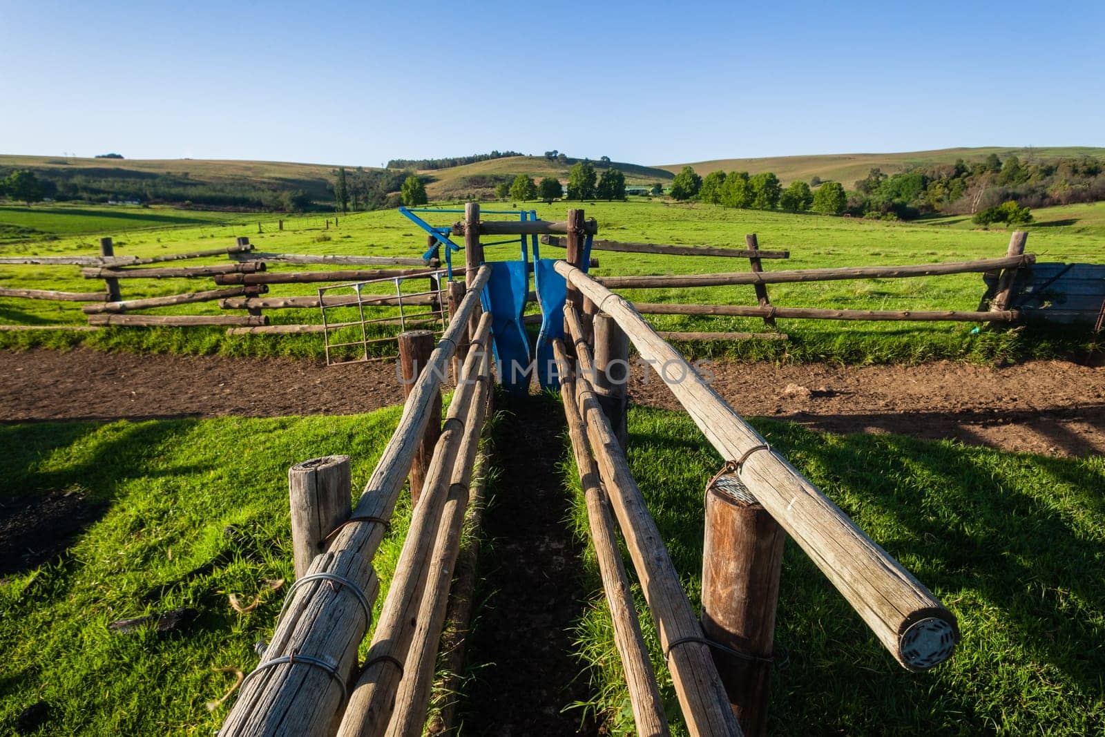 Farm rural fence wire poles cattle animal pen corral mountain landscape.