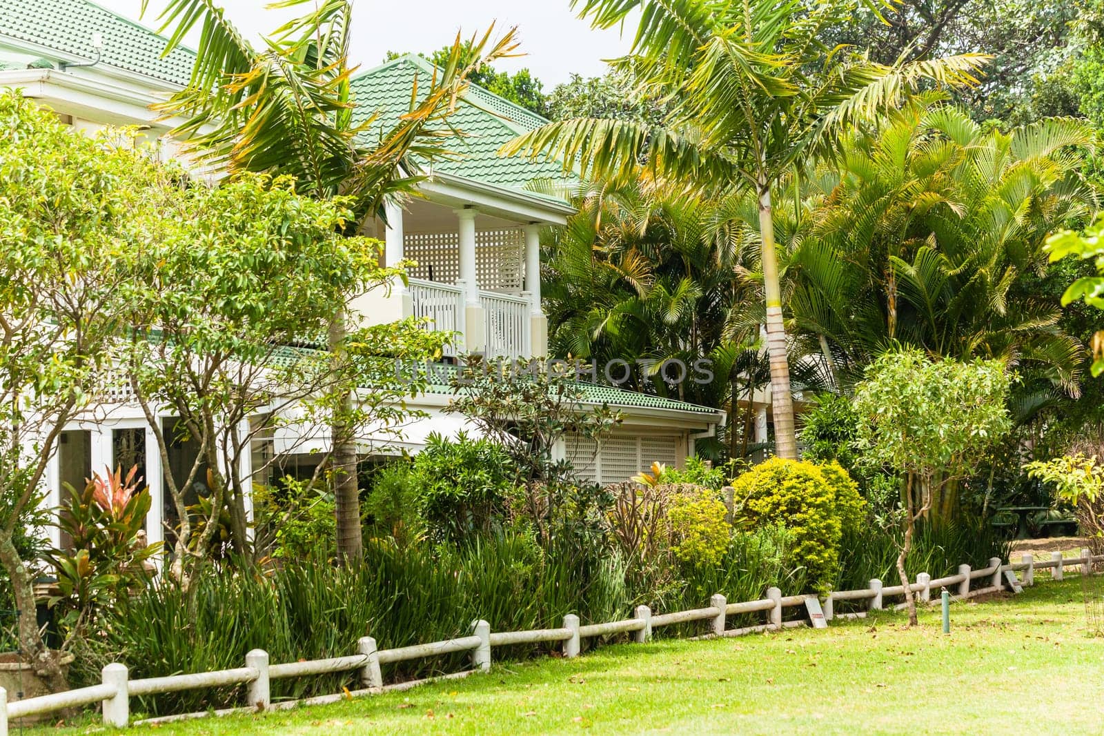 Houses homes surrounded green tropical landscaping trees vegetation on gated golf course..