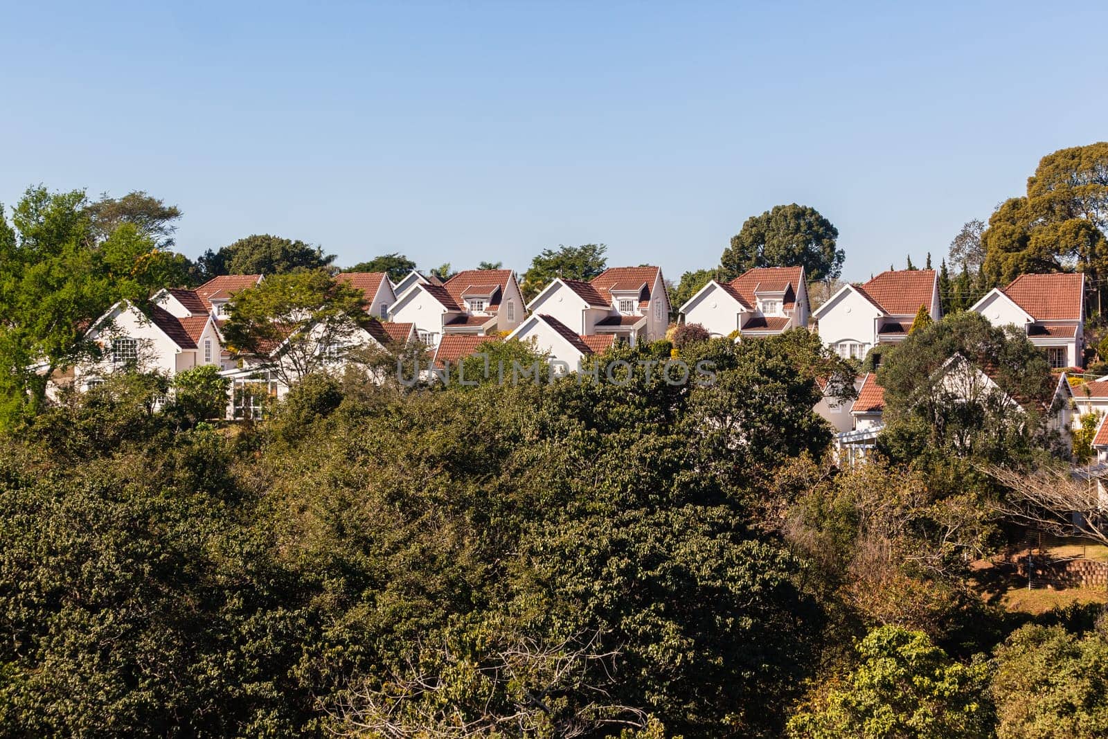Homes houses cluster close living gated community in countryside with tree flora landscape..