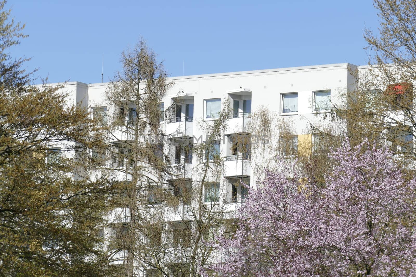 Residential house, skyscraper, trees, Vahr, Bremen