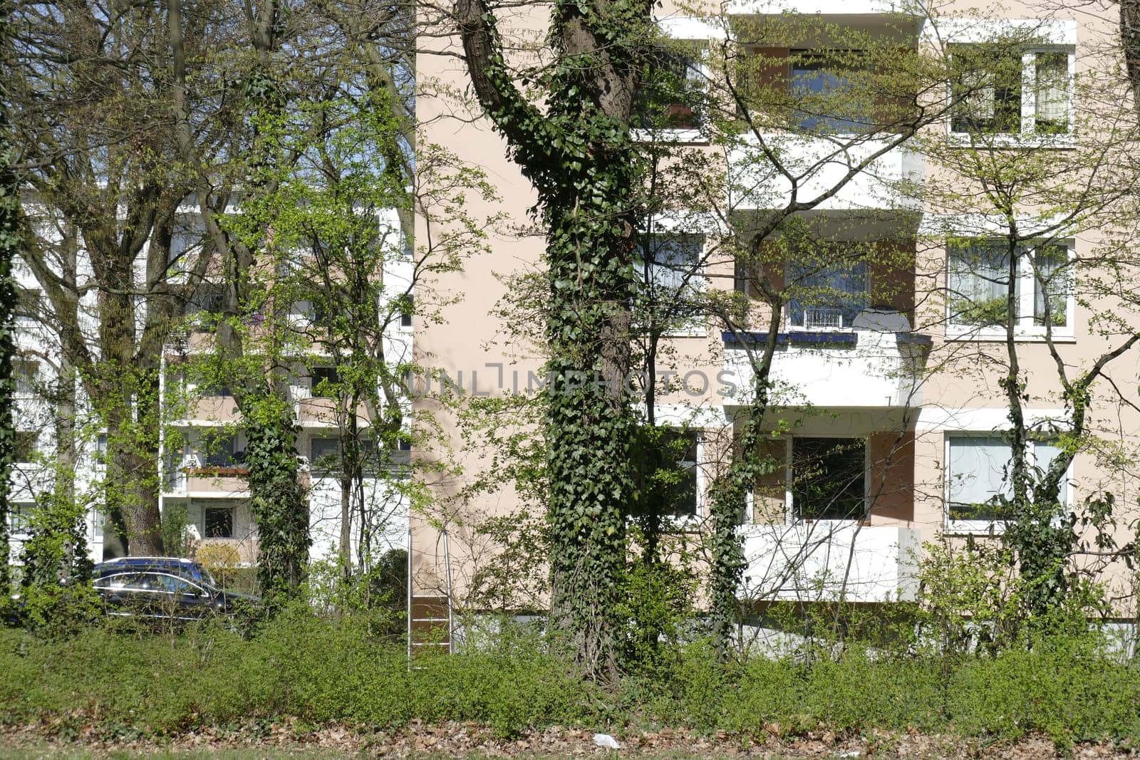 Residential house, multi-family house, trees, Vahr, Bremen