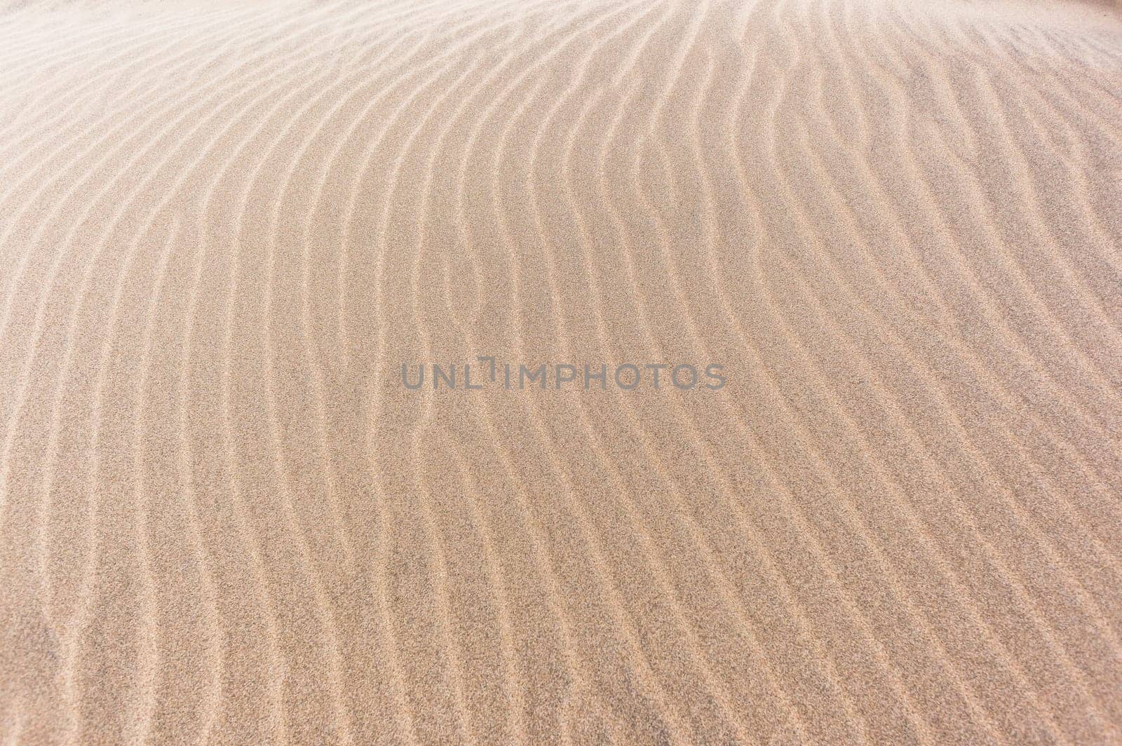 Beach sand wind textures lines natures background detailed landscape.