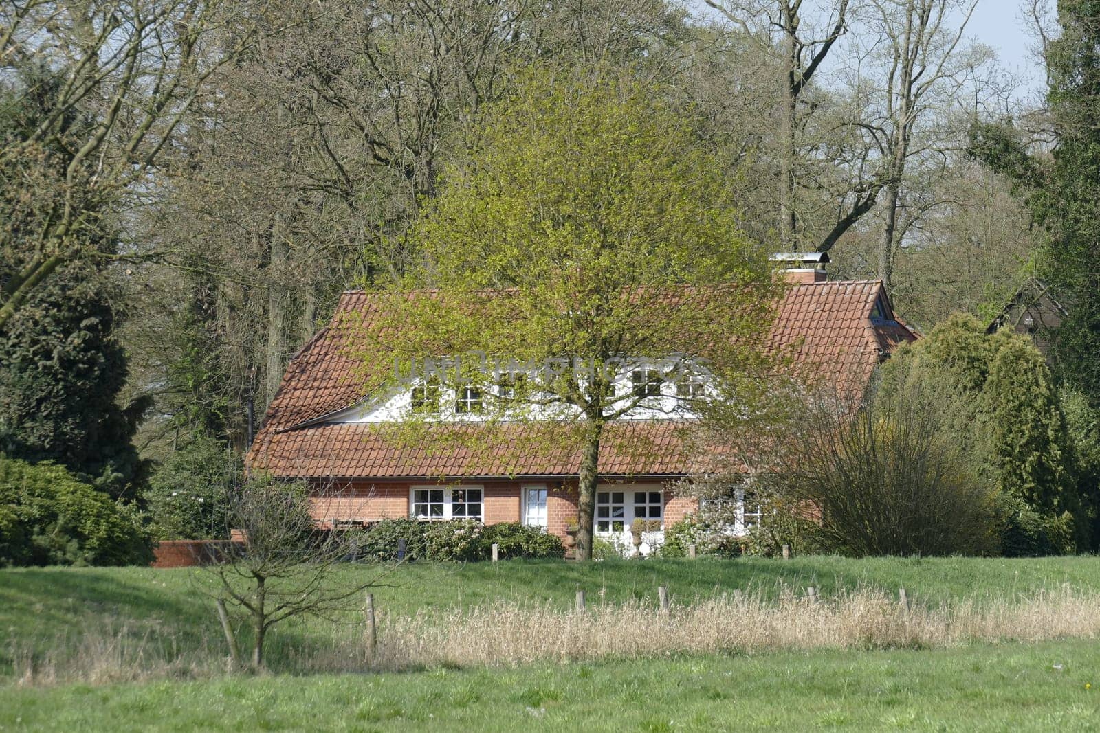 Modern residential building, one-family house, Lower Saxony, Germany, Europe