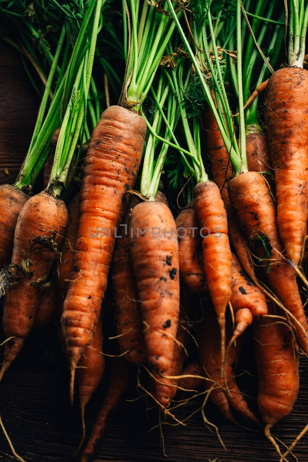 Fresh carrots close-up on a wooden background.