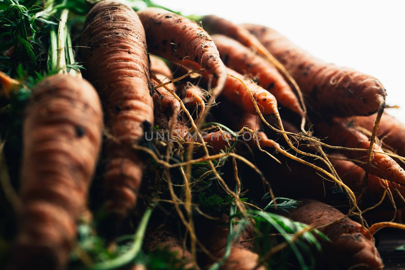 Fresh carrots close-up on a wooden background.
