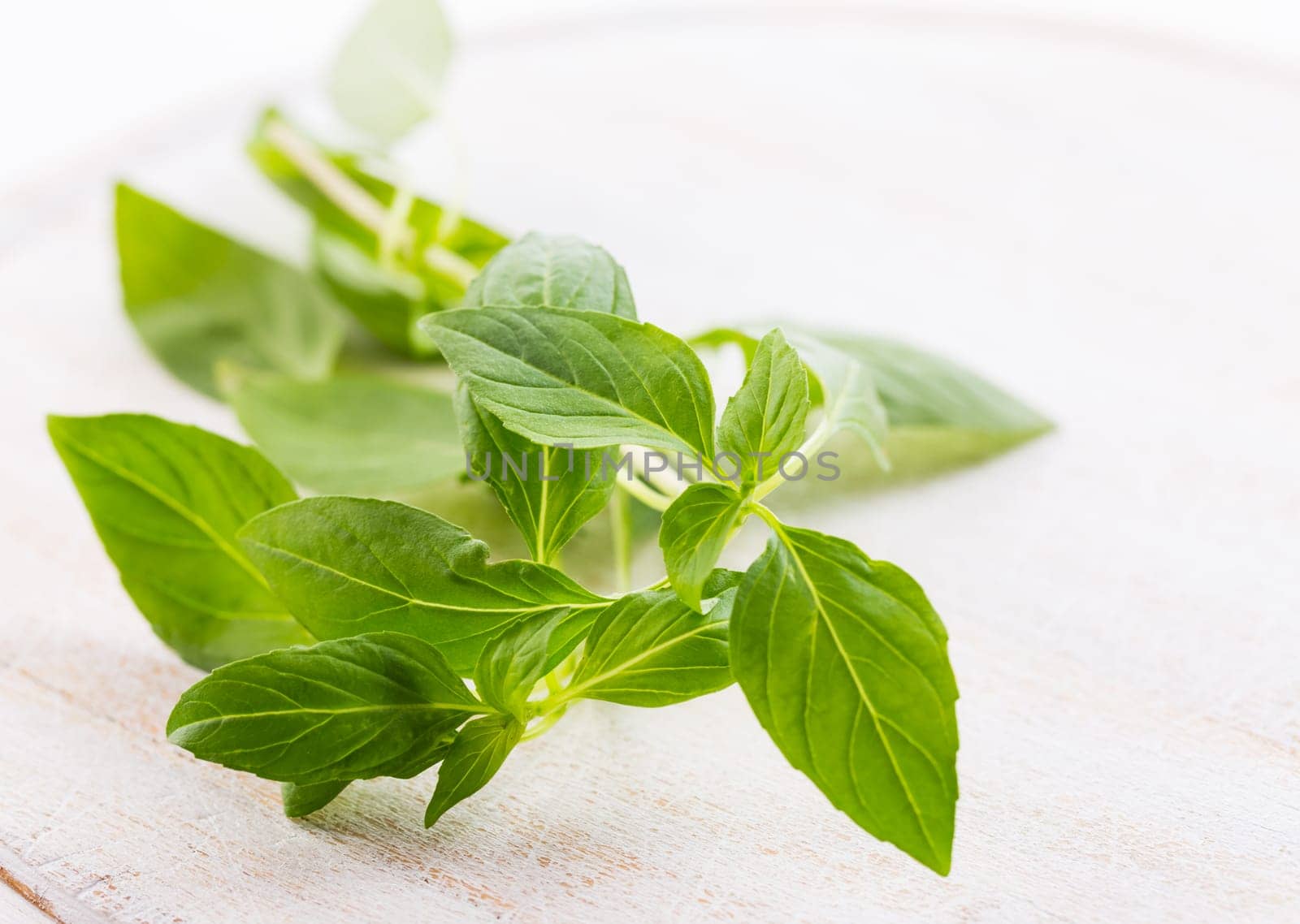 Image of Thai basil leaves