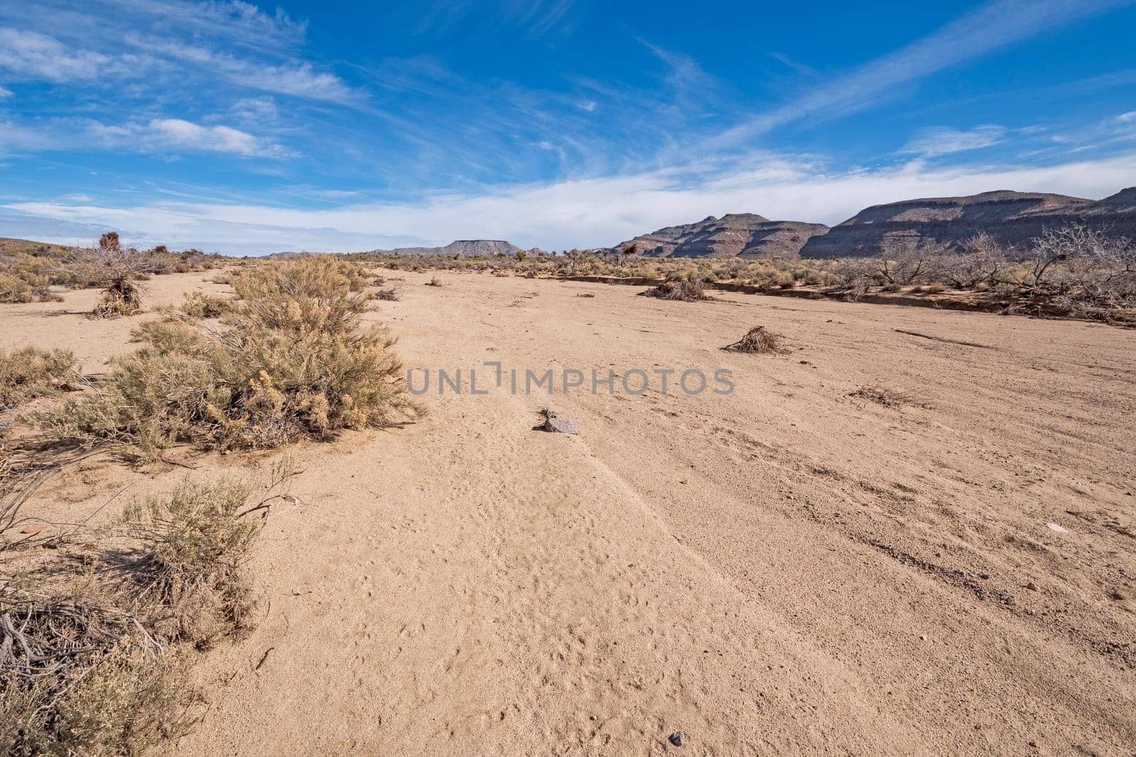 Dry Flood Plain in the Mojave Desert in the Mojave National Preserve in California