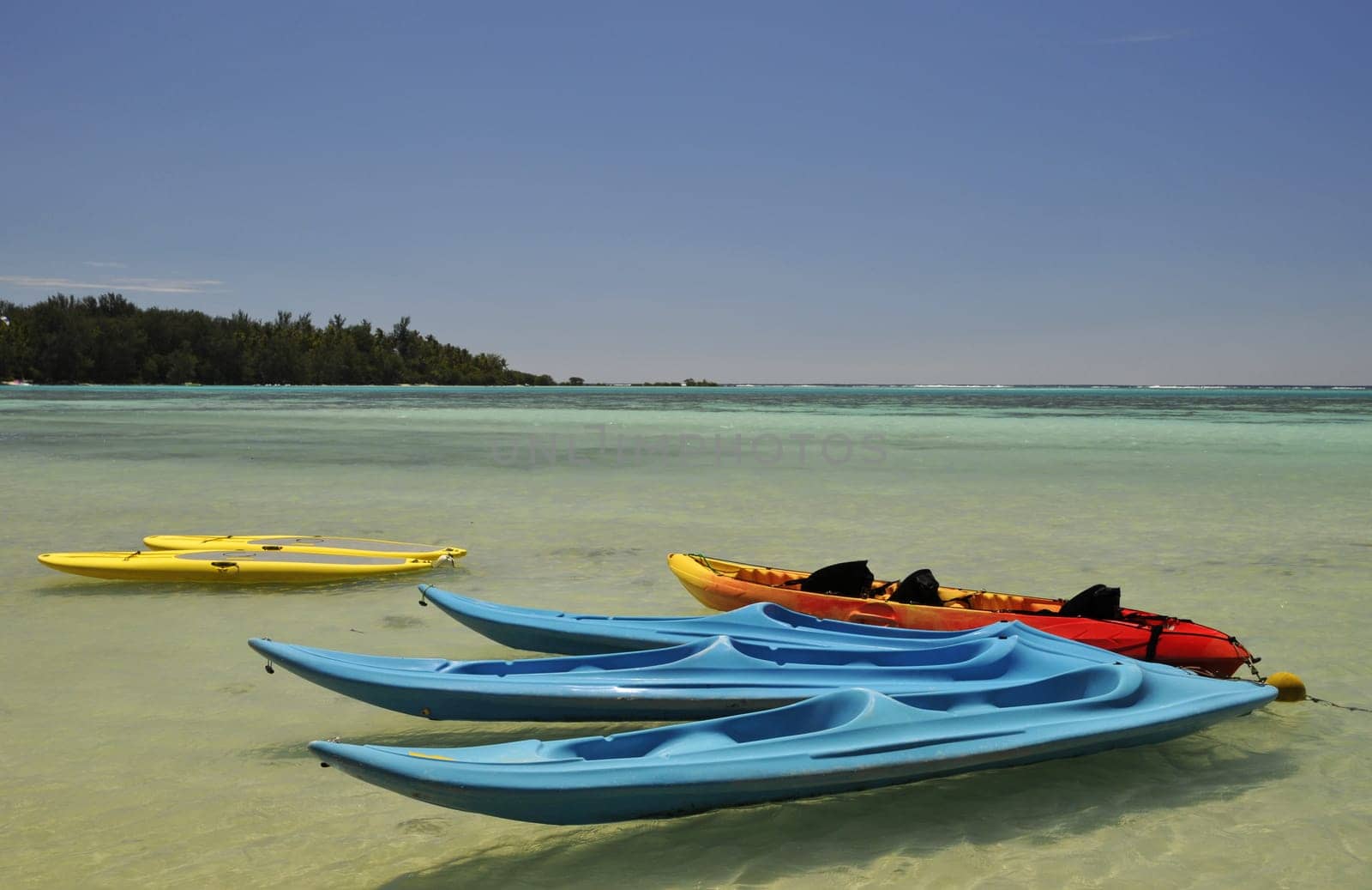 Kayaks