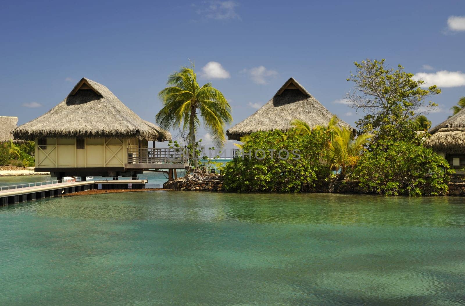 South seas