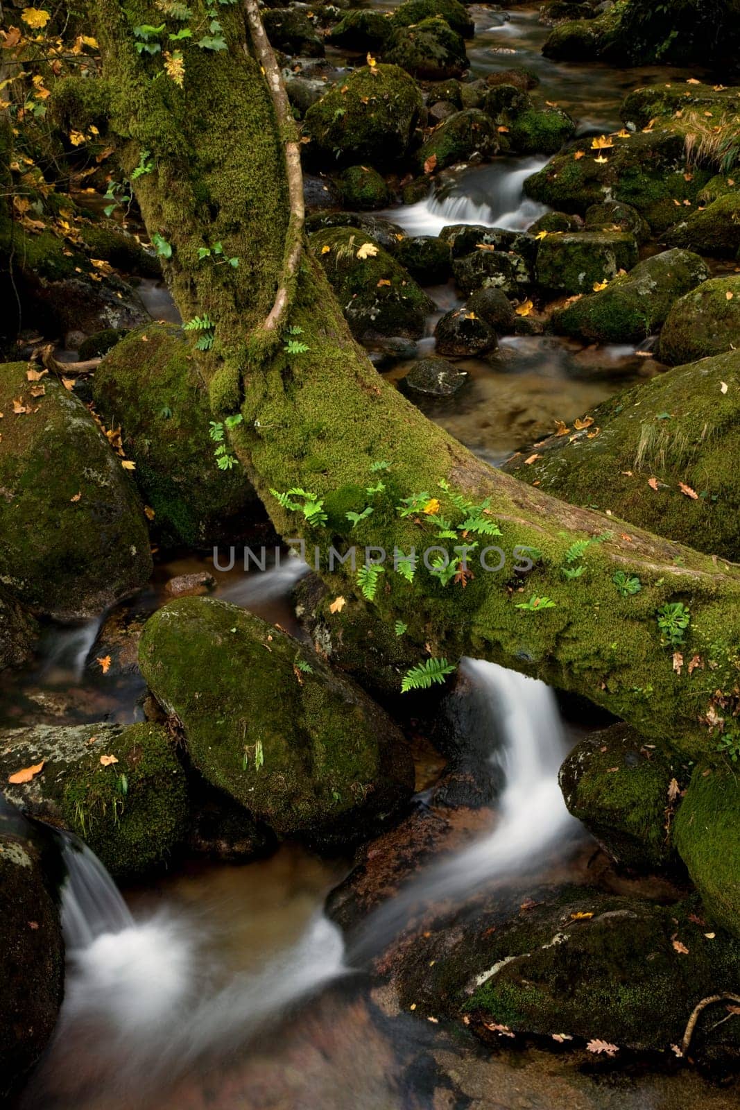 river waterfall in the portuguese national park