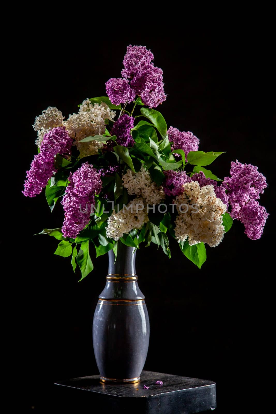White and purple branches of lilac in vase on black background. Spring branch of blooming lilac on the table with black background. Fallen lilac flowers on the table.