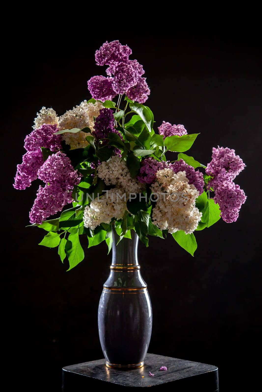 White and purple branches of lilac in vase on black background. Spring branch of blooming lilac on the table with black background. Fallen lilac flowers on the table.