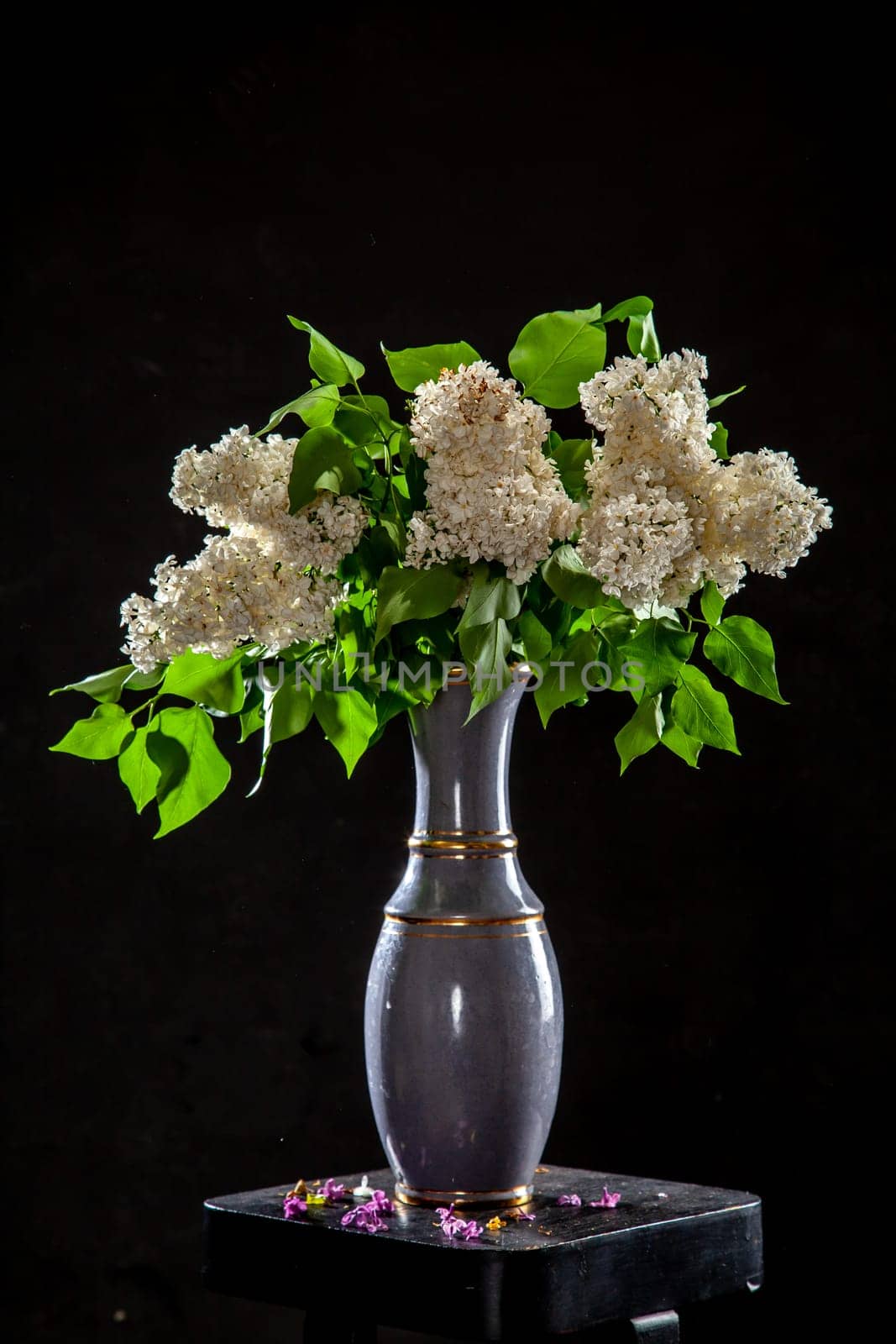 White branches of lilac in vase on black background. Spring branch of blooming lilac on the table with black background. Fallen lilac flowers on the table.