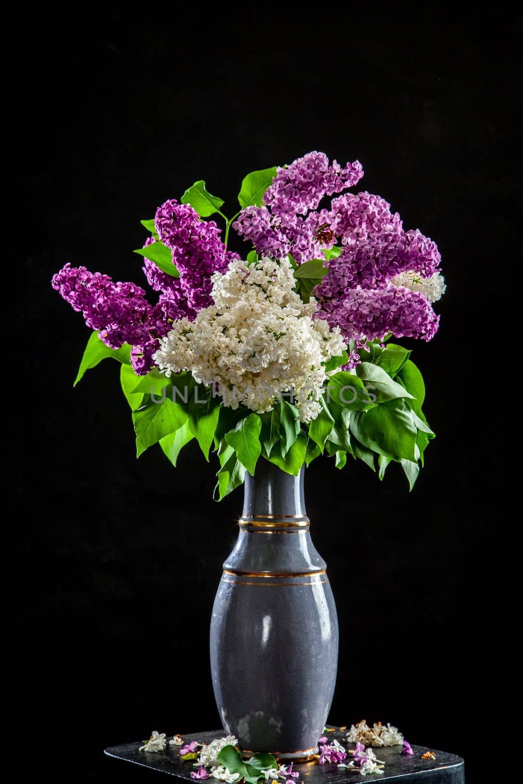 Branches of white and purple lilac in vase on black background. Spring branch of blooming lilac on the table with black background. Fallen lilac flowers on the table.