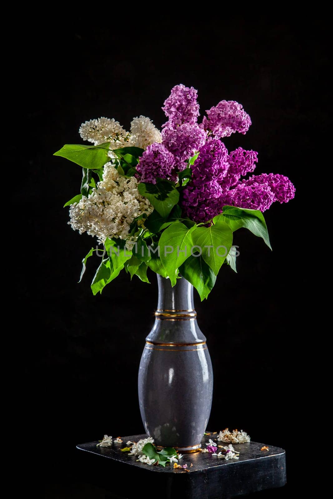 Branches of white and purple lilac in vase on black background. Spring branch of blooming lilac on the table with black background. Fallen lilac flowers on the table.