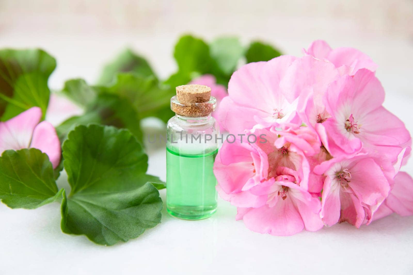 Plant extract in viles with geranium leaves and pink flowers
