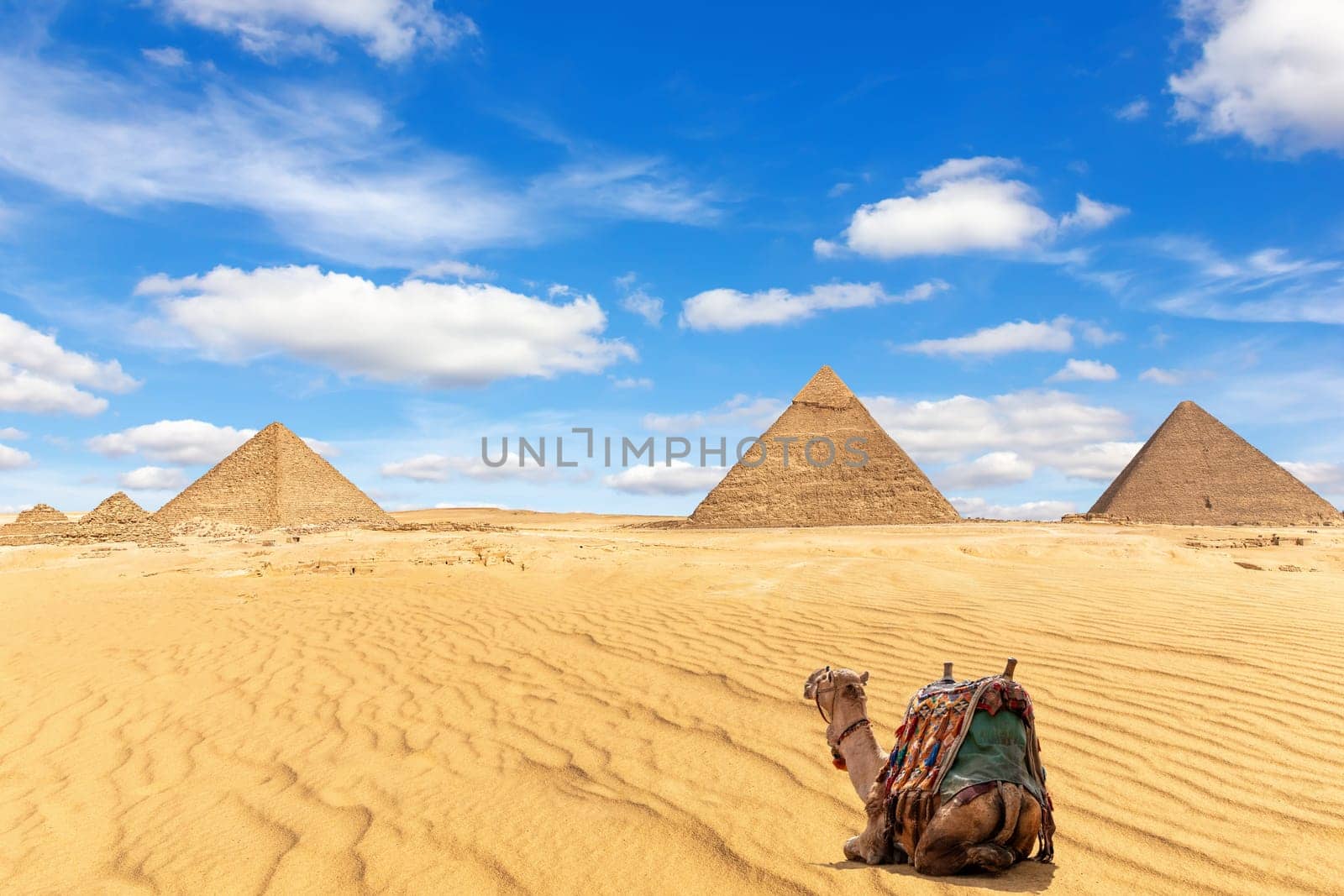 The Pyramids of Giza and a camel in the sand, Egypt.