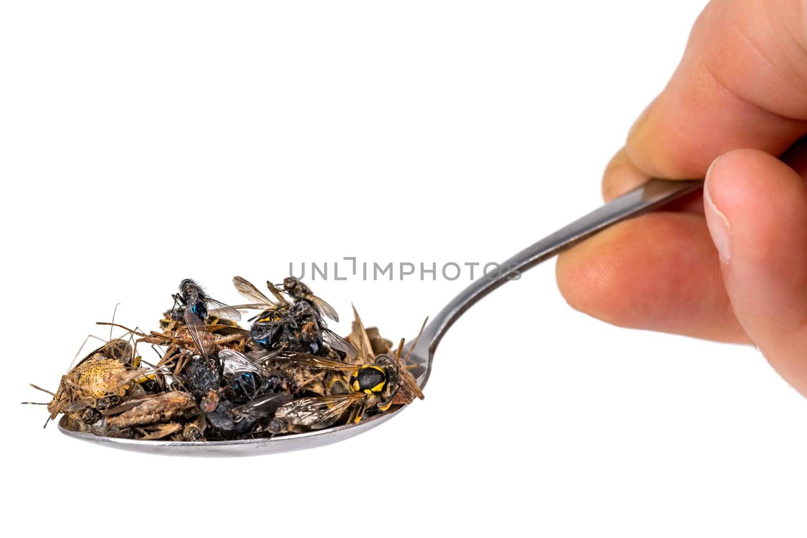 Many dead insects lie on a tablespoon held in the hand, isolated on white