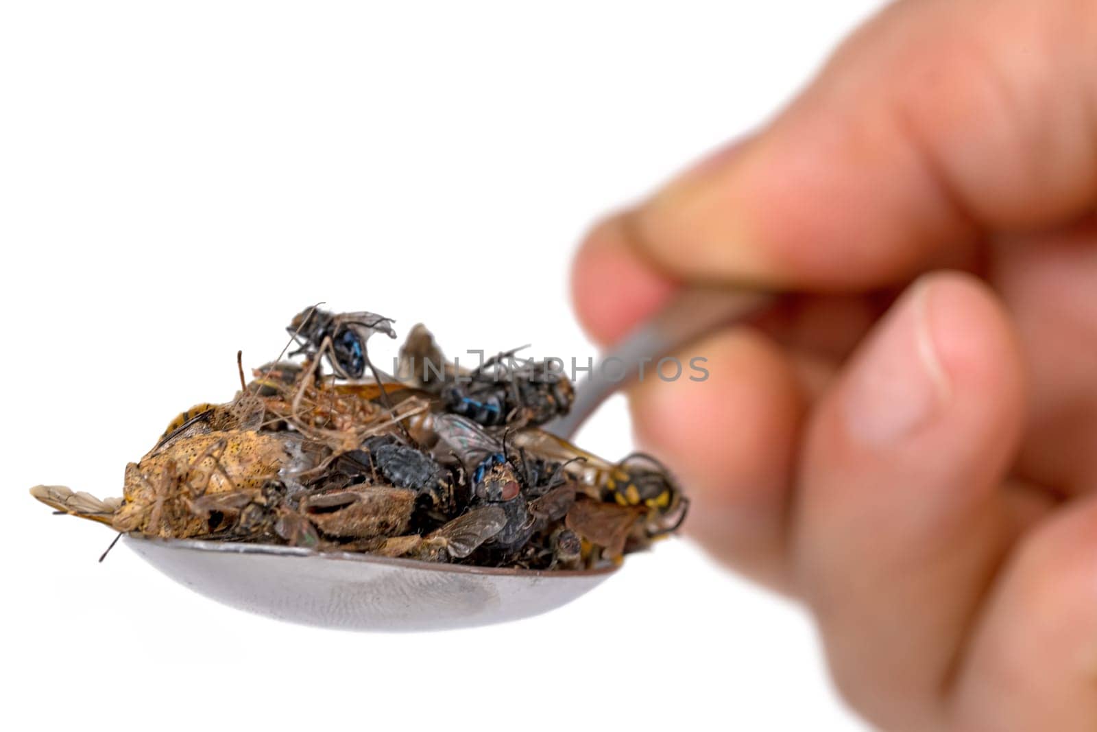 Many dead insects lie on a tablespoon held in the hand, isolated on white