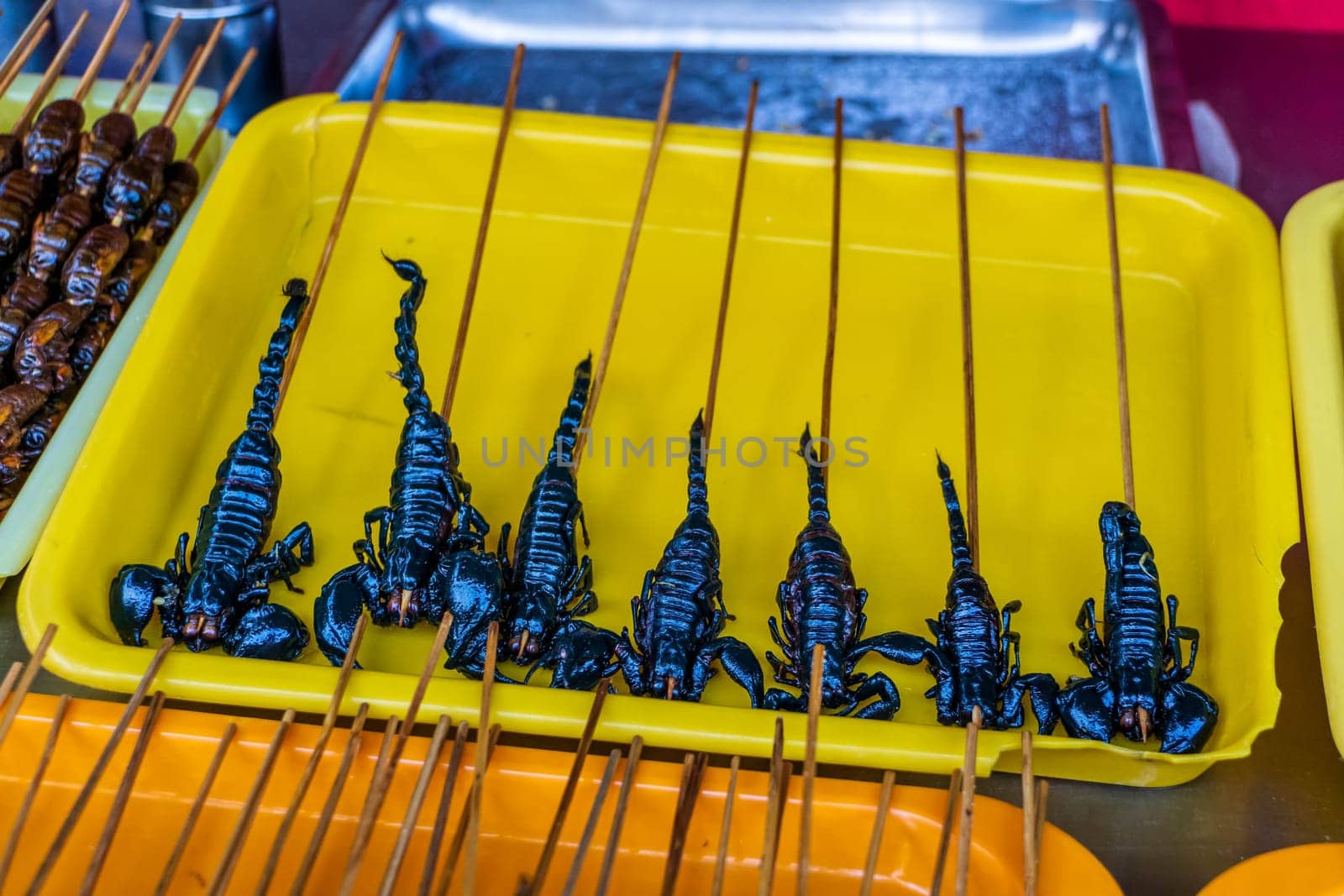 Roasted, fried and raw insects, silkworms, scorpions, bugs on stick as snack street food in China