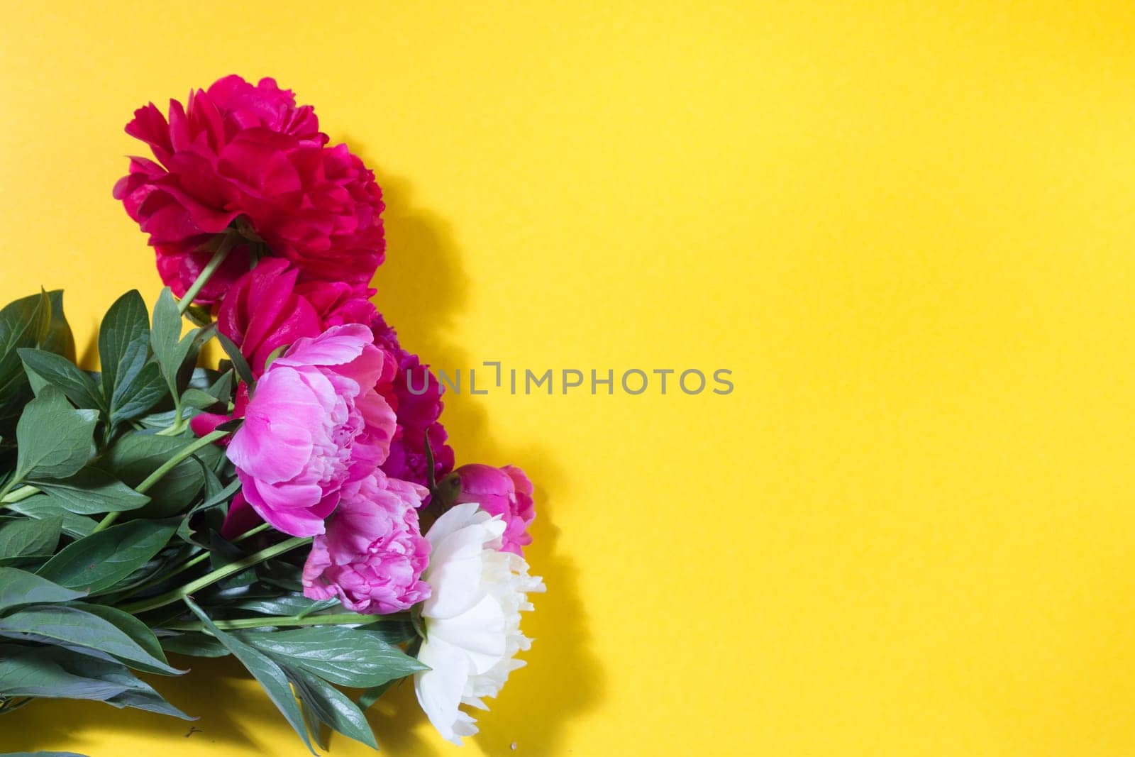colorful peony bouquet on a yellow background