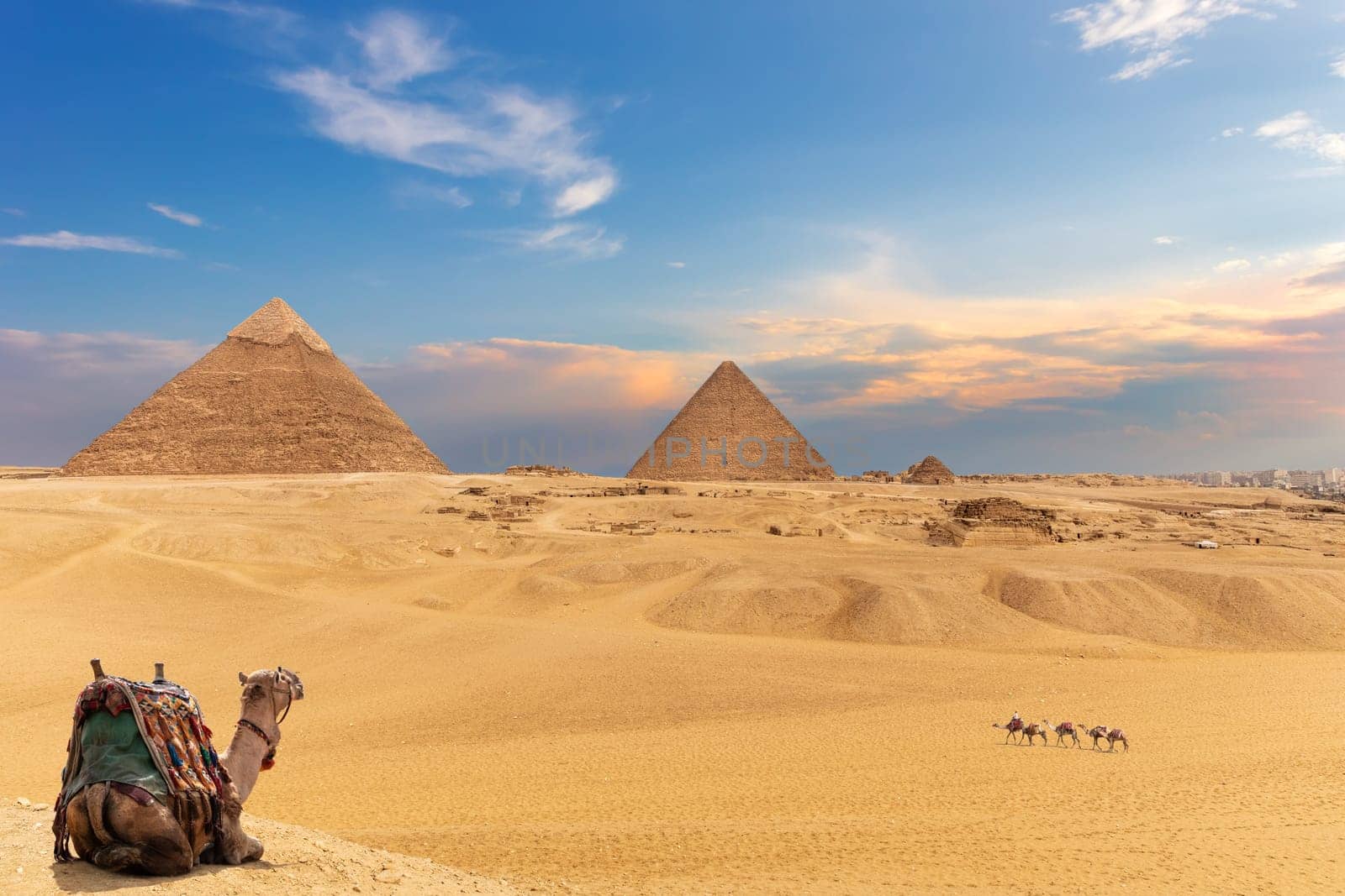 The Pyramids and camels, beautiful Giza desert view.