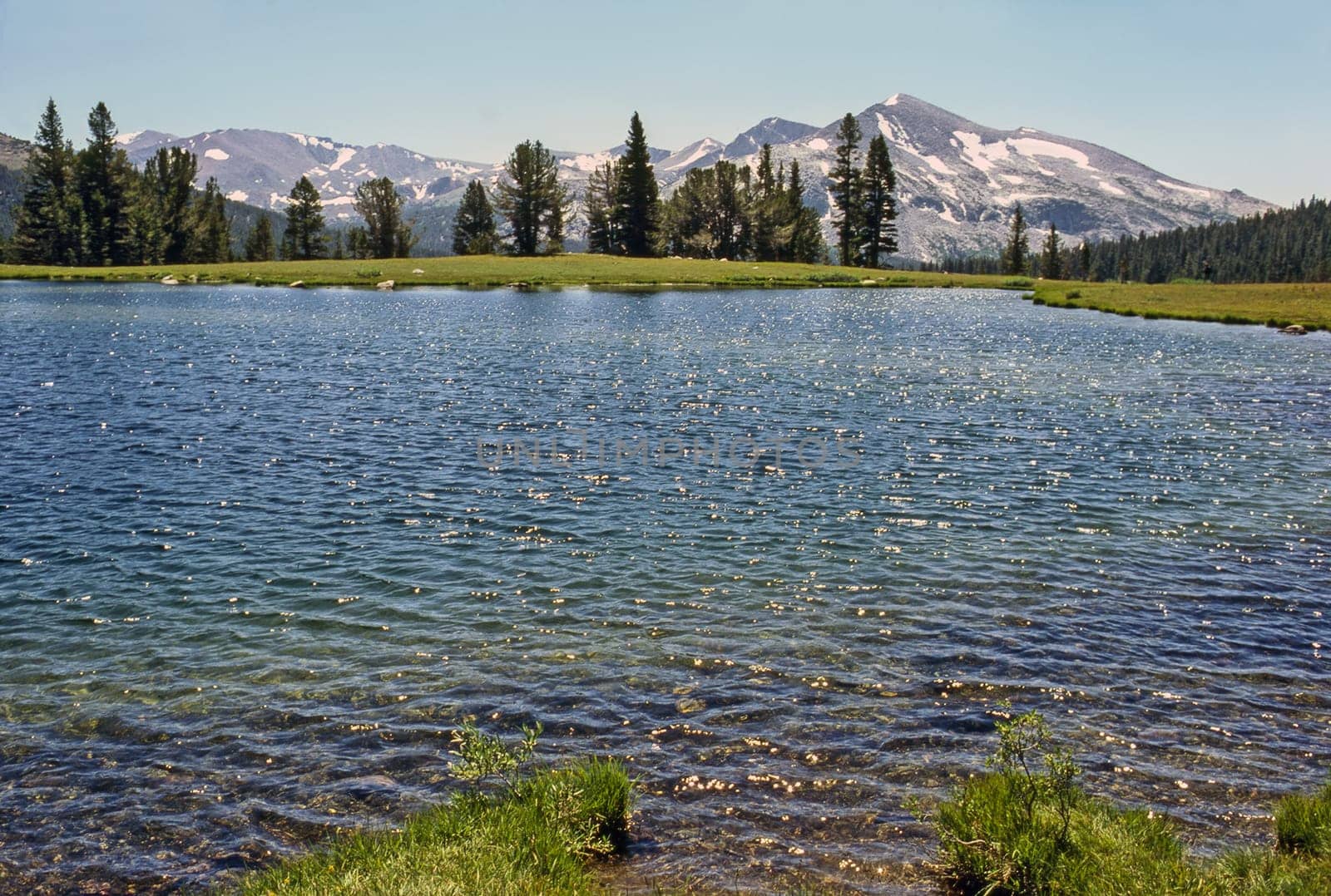 Tioga Lake in Yosemite National Park