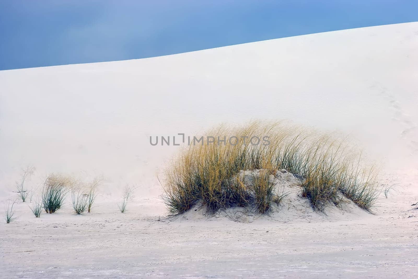 White Sands in New Mexico