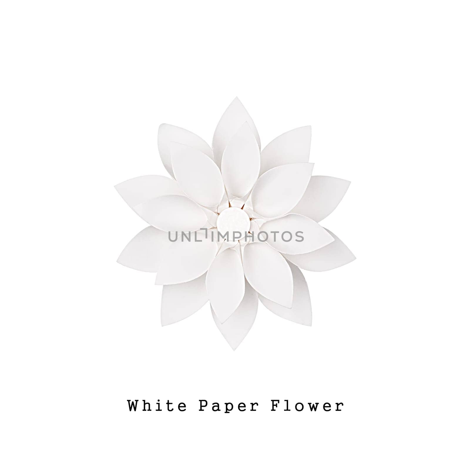 White paper flower handmade, top view, isolated