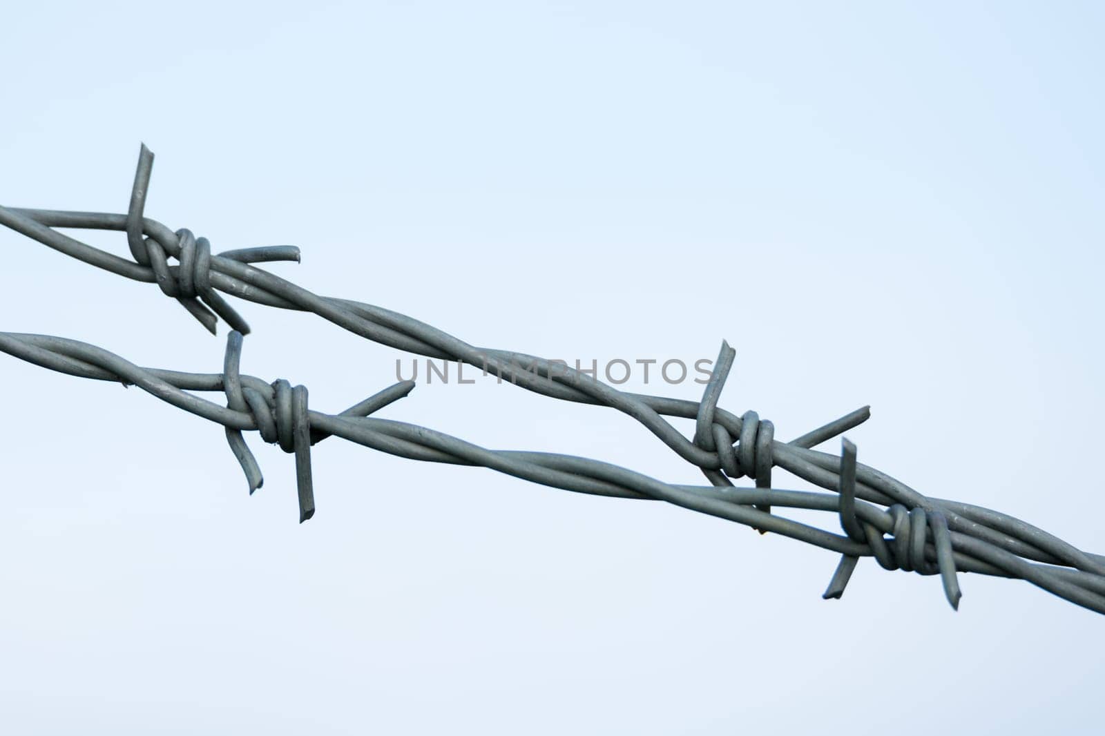 Barbed wire Close Up.