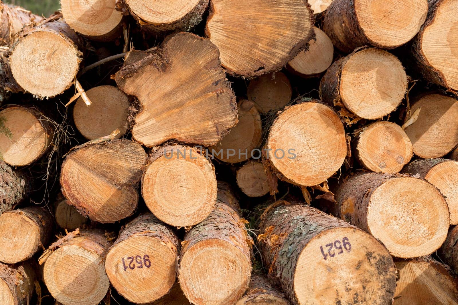 Logs Piled on to of each other.