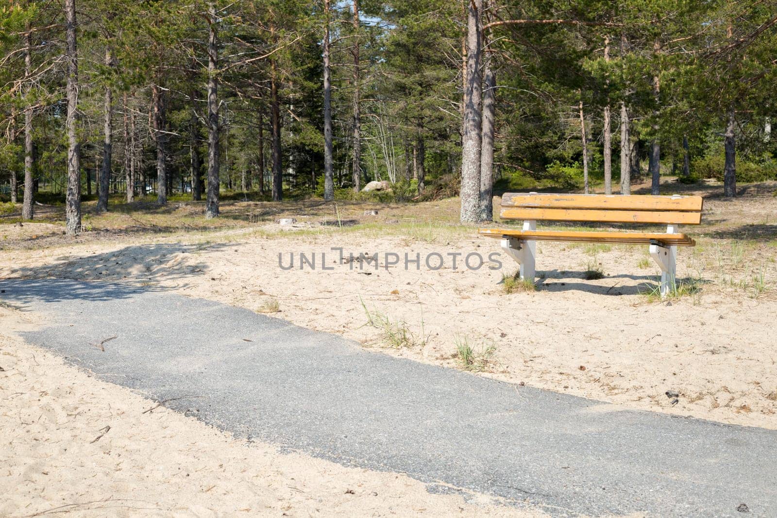 Bench in sand by tarmac walkway