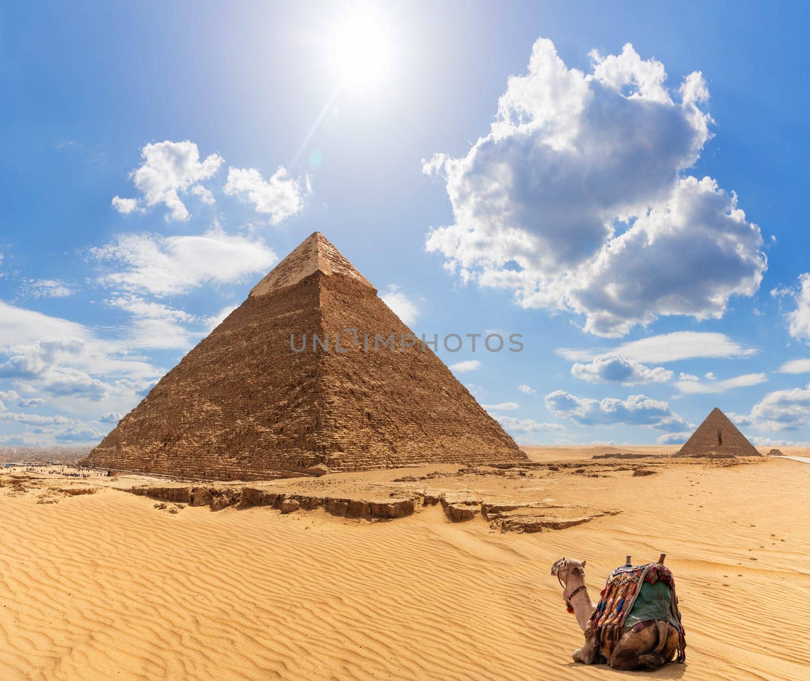A camel near the Pyramid of Khafre and the Pyramid of Menkaure on the background, Giza, Egypt.