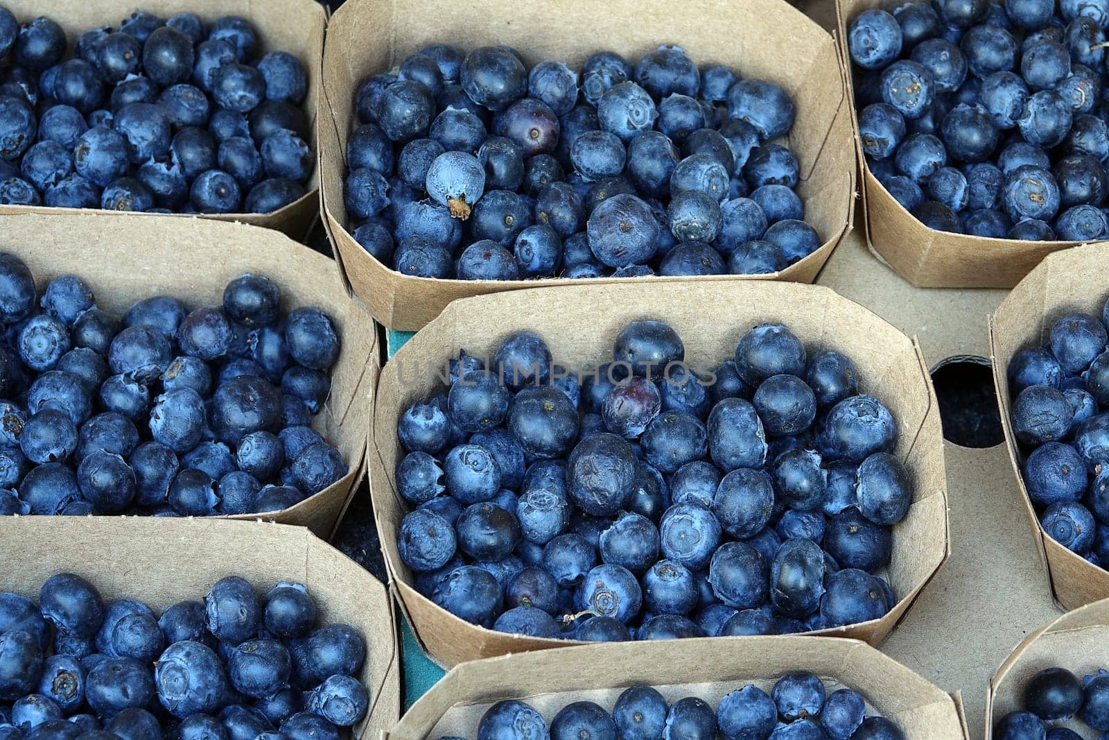 Bowls of blueberries at a farmer's market