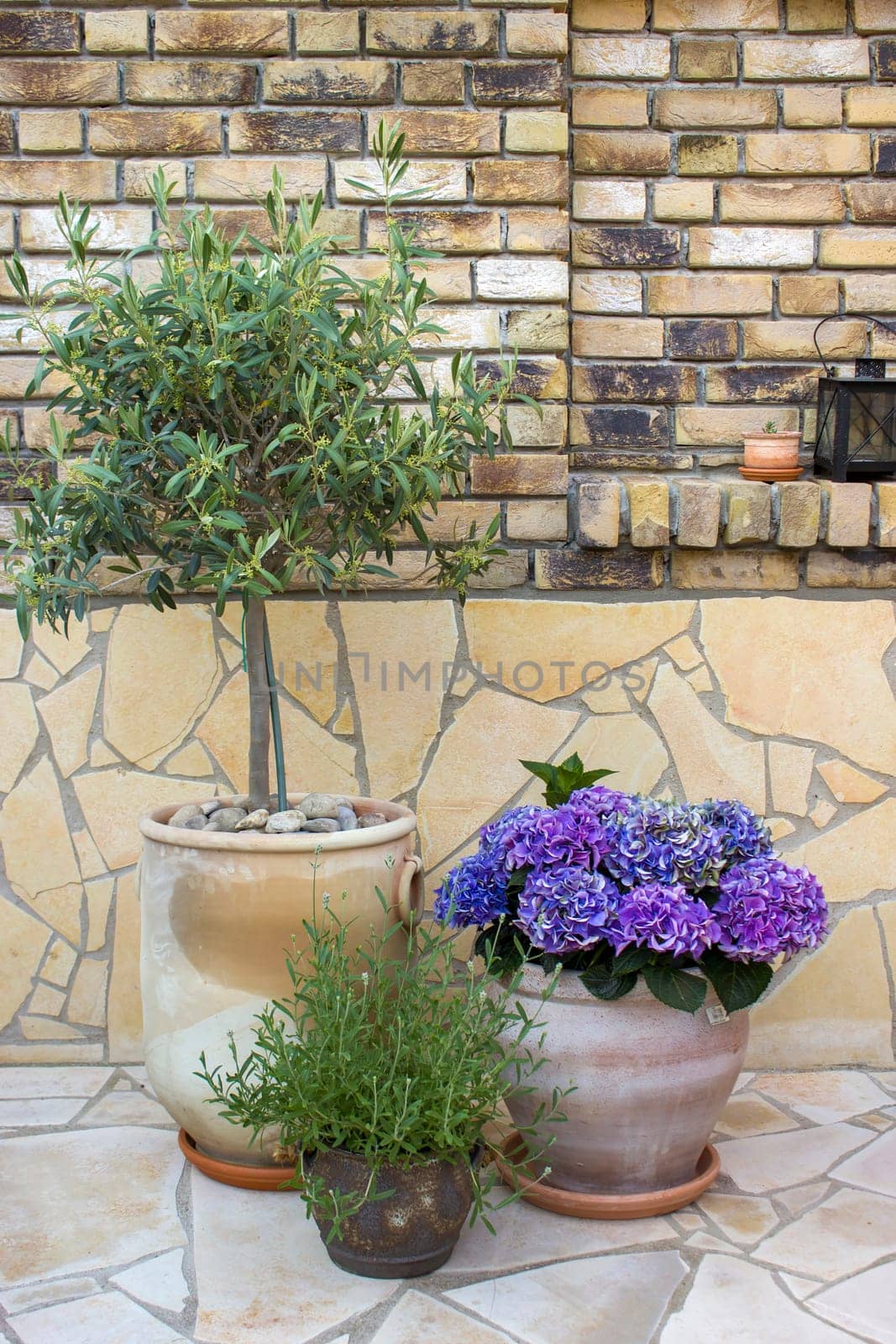 beautiful place in the garden in the mediterranean style, pots with flowers